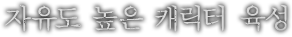 자유도 높은 캐릭터 육성