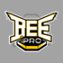 BeePro GGST Taiwan Qualifier
