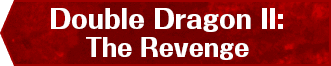 Double Dragon II: The Revenge