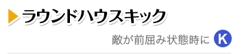 ラウンドハウスキック 敵が前屈み状態時にK