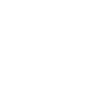 ddrev