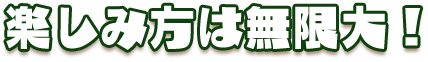 楽しみ方は無限大！