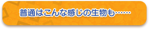 普通はこんな感じの生物も……