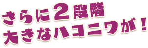 さらに2段階大きなハコニワが！