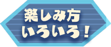 楽しみ方いろいろ！