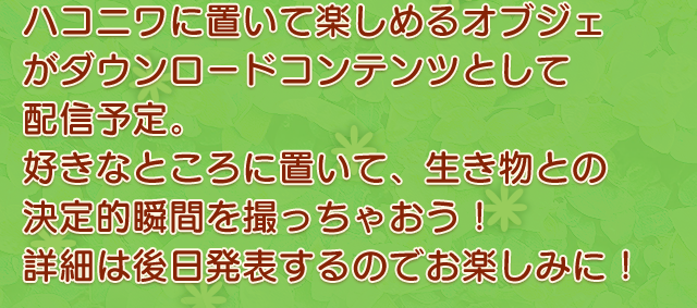 ハコニワにおいて楽しめるオブジェクトがダウンロードコンテンツとして配信予定。好きなところに置いて、生き物との決定的瞬間を撮っちゃおう！詳細は後日発表するのでお楽しみに！