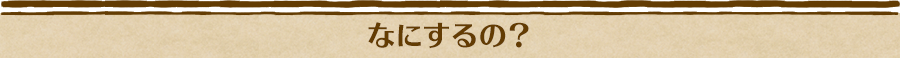 なにするの？