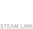 Steam