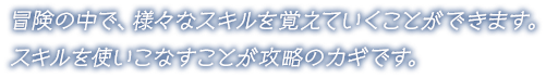 冒険の中で、様々なスキルを覚えていくことができます。スキルを使いこなすことが攻略のカギです。