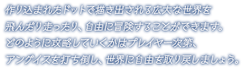 作り込まれたドットで描き出される広大な世界を飛んだり走ったり、自由に冒険することができます。どのように攻略していくかはプレイヤー次第、アングイスを打ち倒し、世界に自由を取り戻しましょう。