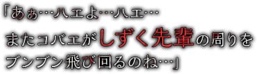 「あぁ…ハエよ…ハエ…またコバエがしずく先輩の周りをブンブン飛び回るのね…」