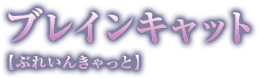 ブレインキャット【ぶれいんきゃっと】