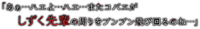 「あぁ…ハエよ…ハエ…またコバエがしずく先輩の周りをブンブン飛び回るのね…」